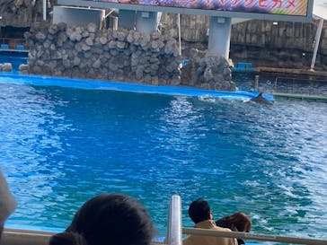 名古屋港水族館に投稿された画像（2022/1/2）