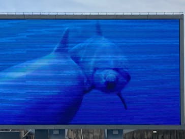 名古屋港水族館に投稿された画像（2022/1/2）