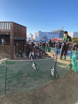 名古屋港水族館に投稿された画像（2022/1/2）