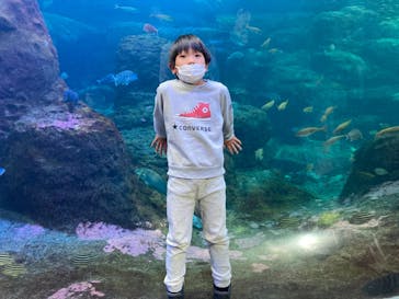 新江ノ島水族館に投稿された画像（2022/1/2）