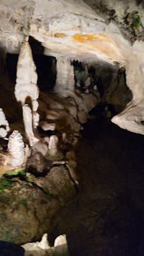 あぶくま洞に投稿された画像（2022/1/2）