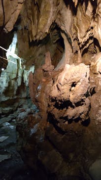 あぶくま洞に投稿された画像（2022/1/2）