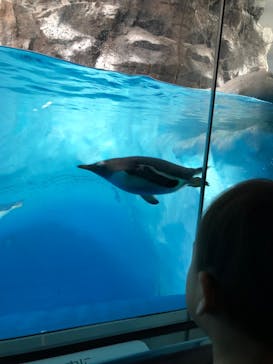 名古屋港水族館に投稿された画像（2022/1/2）