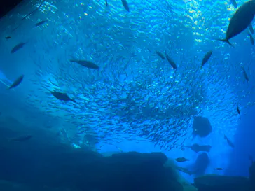 仙台うみの杜水族館に投稿された画像（2022/1/2）