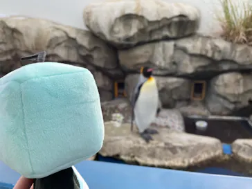 仙台うみの杜水族館に投稿された画像（2022/1/2）