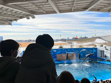 仙台うみの杜水族館に投稿された画像（2022/1/2）
