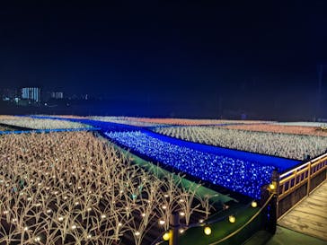 東京メガイルミに投稿された画像（2022/1/2）