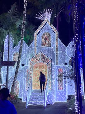 美らヤシパークオキナワ・東南植物楽園に投稿された画像（2022/1/3）