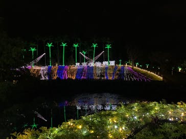 美らヤシパークオキナワ・東南植物楽園に投稿された画像（2022/1/3）