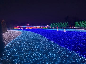 東武動物公園に投稿された画像（2022/1/3）