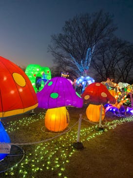 東武動物公園に投稿された画像（2022/1/3）