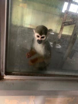 東武動物公園に投稿された画像（2022/1/3）