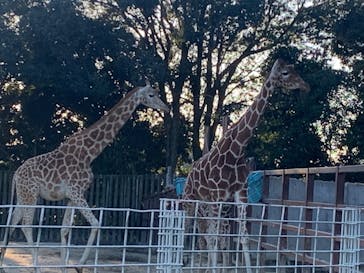 東武動物公園に投稿された画像（2022/1/3）