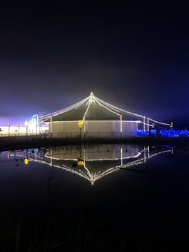 東京メガイルミに投稿された画像（2022/1/3）