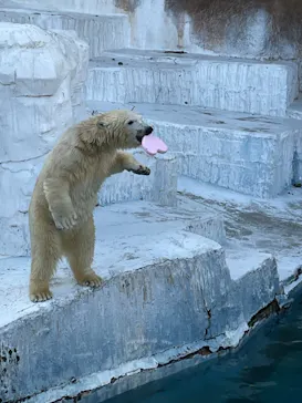 天王寺動物園に投稿された画像（2022/1/3）