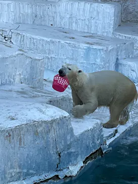 天王寺動物園に投稿された画像（2022/1/3）