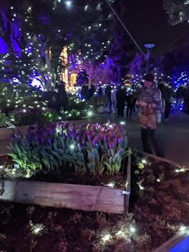 江の島シーキャンドルに投稿された画像（2022/1/3）