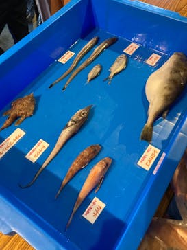しながわ水族館に投稿された画像（2022/1/3）