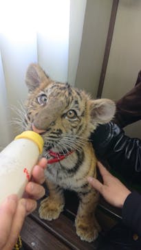 しろとり動物園に投稿された画像（2022/1/3）