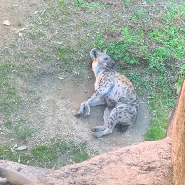 天王寺動物園に投稿された画像（2022/1/3）