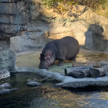 天王寺動物園に投稿された画像（2022/1/3）