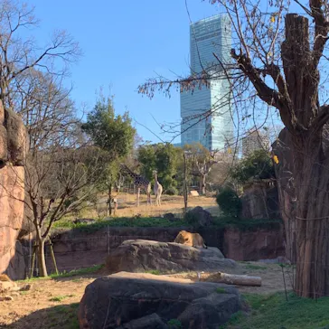 天王寺動物園に投稿された画像（2022/1/3）