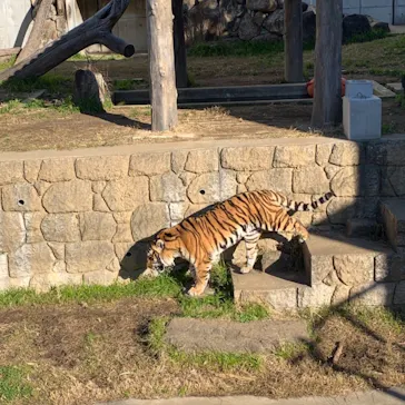天王寺動物園に投稿された画像（2022/1/3）