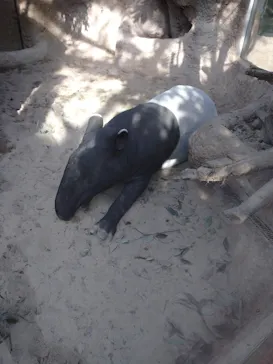 神戸どうぶつ王国に投稿された画像（2022/1/3）