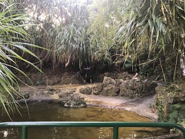 ビオスの丘に投稿された画像（2022/1/3）