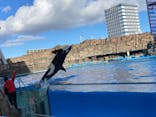 名古屋港水族館に投稿された画像（2022/1/3）