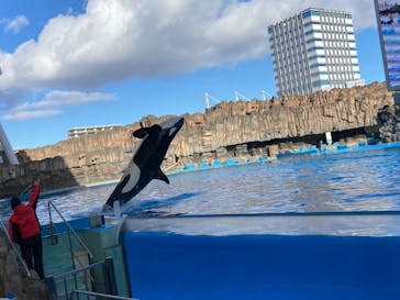 名古屋港水族館に投稿された画像（2022/1/3）