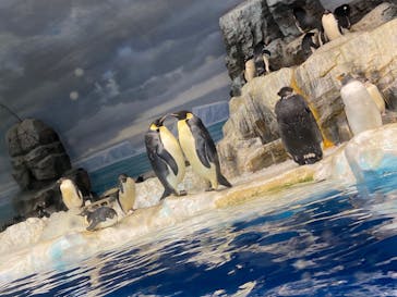 名古屋港水族館に投稿された画像（2022/1/3）