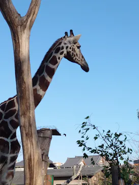 天王寺動物園に投稿された画像（2022/1/3）