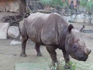 天王寺動物園に投稿された画像（2022/1/3）