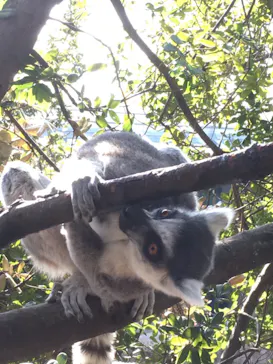 神戸どうぶつ王国に投稿された画像（2022/1/3）