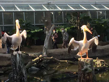 神戸どうぶつ王国に投稿された画像（2022/1/3）