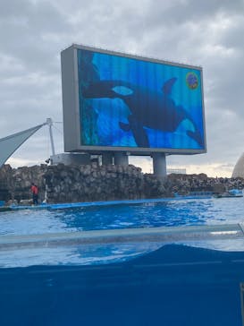 名古屋港水族館に投稿された画像（2022/1/3）