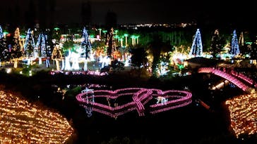 美らヤシパークオキナワ・東南植物楽園に投稿された画像（2022/1/3）