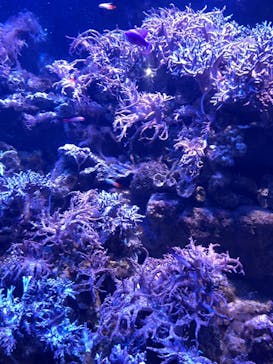 名古屋港水族館に投稿された画像（2022/1/3）