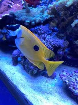 名古屋港水族館に投稿された画像（2022/1/3）