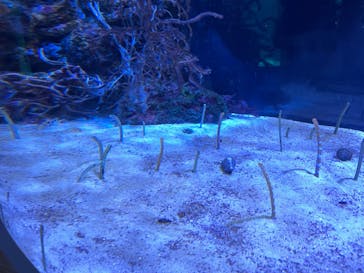 名古屋港水族館に投稿された画像（2022/1/3）