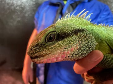 体感型動物園iZooに投稿された画像（2022/1/3）