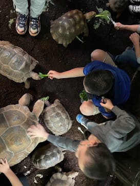 体感型動物園iZooに投稿された画像（2022/1/3）