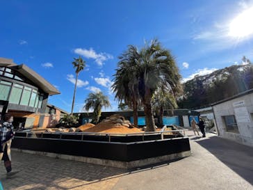 体感型動物園iZooに投稿された画像（2022/1/3）