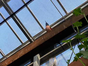 神戸どうぶつ王国に投稿された画像（2022/1/3）