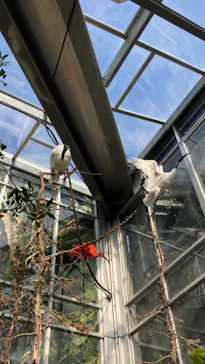 神戸どうぶつ王国に投稿された画像（2022/1/3）