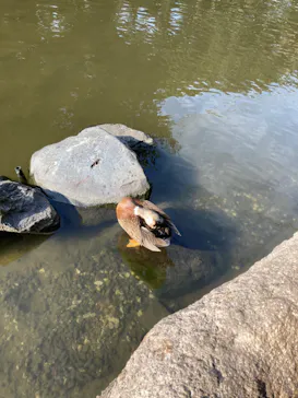 神戸どうぶつ王国に投稿された画像（2022/1/3）