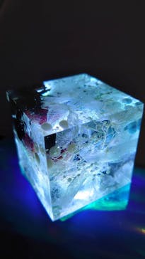 ずこうしつ〜sugamo〜に投稿された画像（2022/1/3）