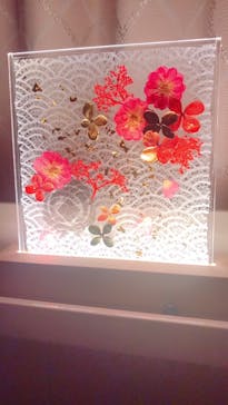 ずこうしつ〜sugamo〜に投稿された画像（2022/1/3）