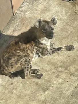 天王寺動物園に投稿された画像（2022/1/3）